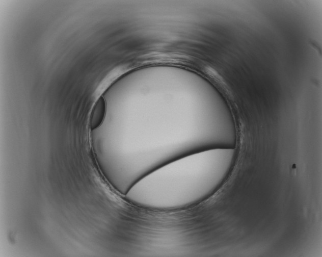 X0000102531370200808081043