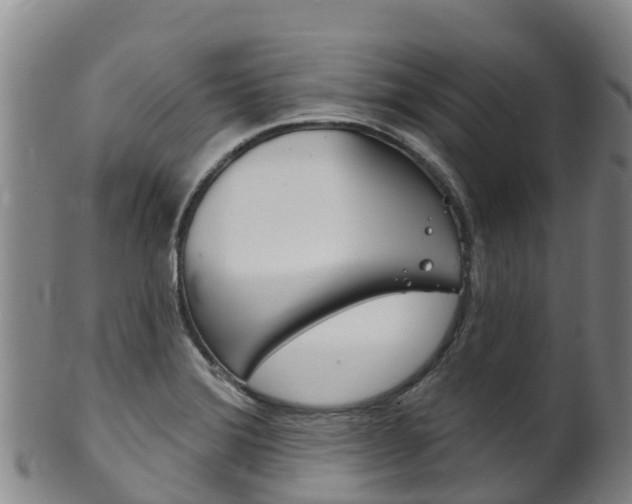 X0000102531372200808081043