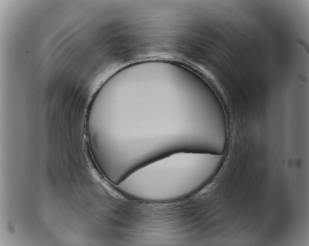 X0000102531373200808081043