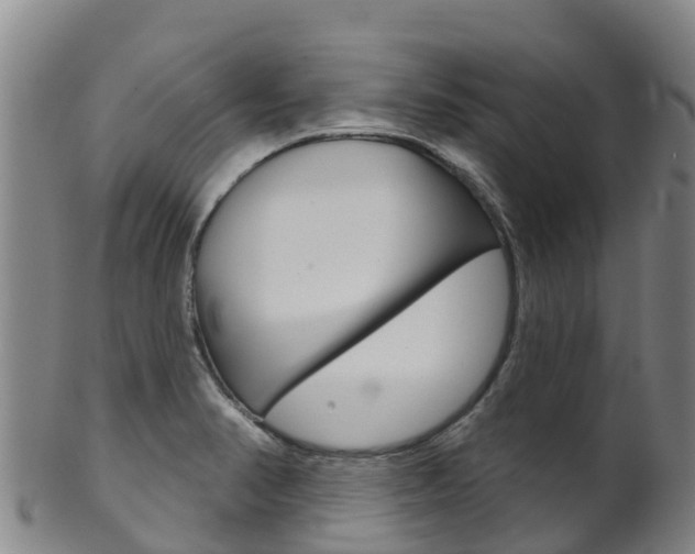 X0000102531374200808081043