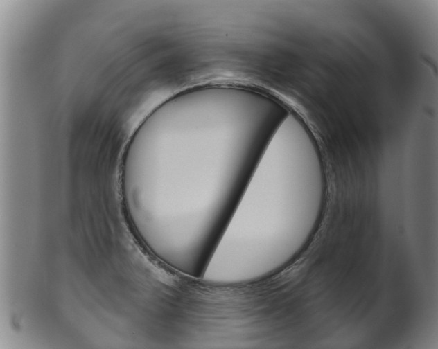 X0000102531375200808081042