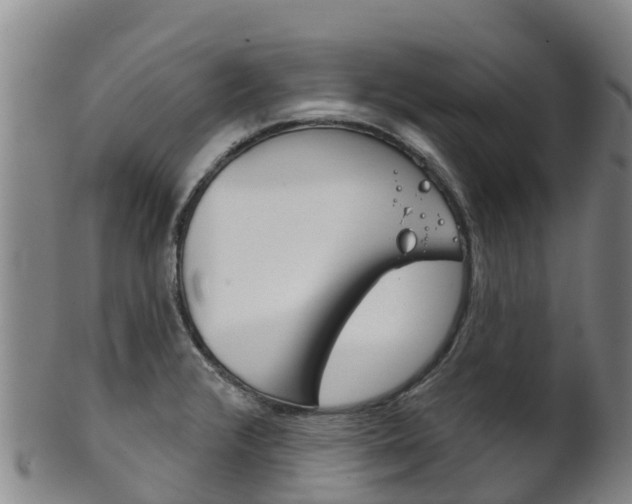 X0000102531376200808081042