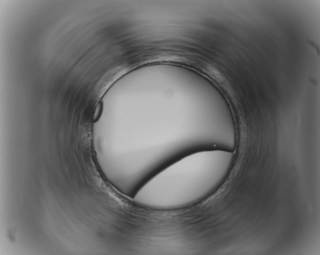 X0000102531377200808081042