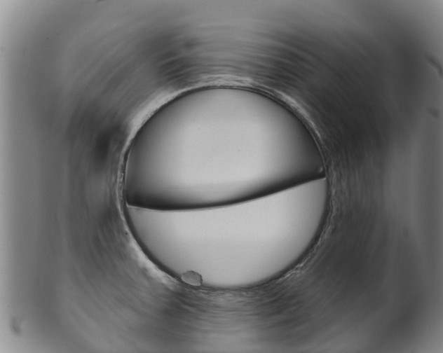 X0000102531379200808081042