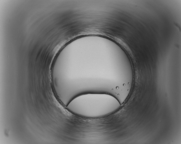 X0000102531380200808081042