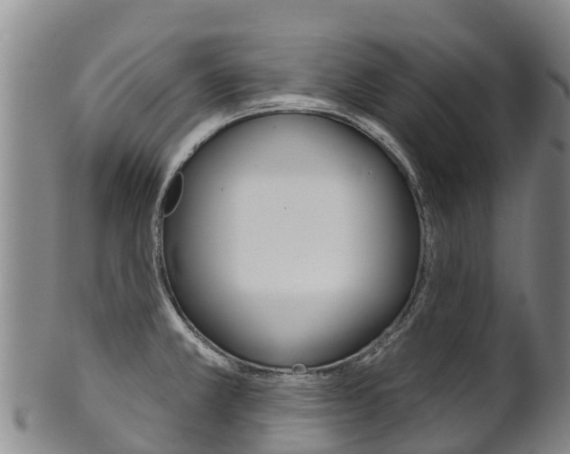 X0000102531381200808081042