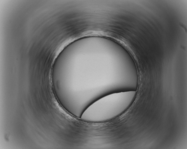 X0000102531382200808081042