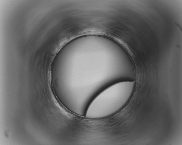 X0000102531383200808081042