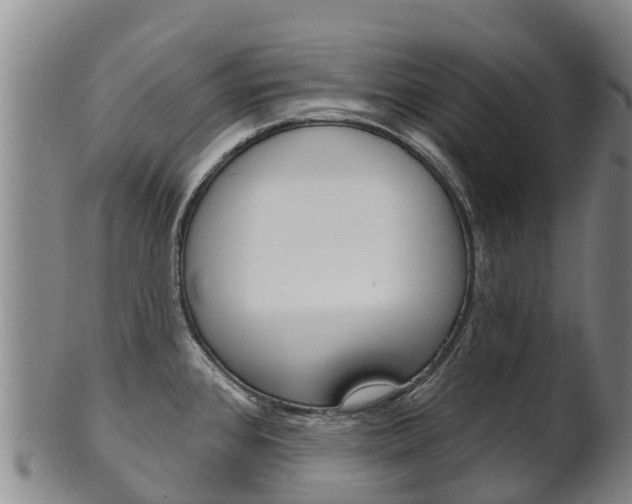 X0000102531384200808081042