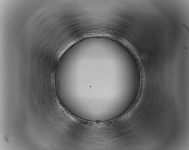 X0000102531385200808081042