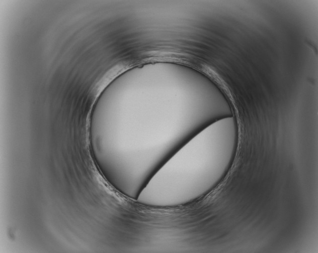 X0000102531386200808081042