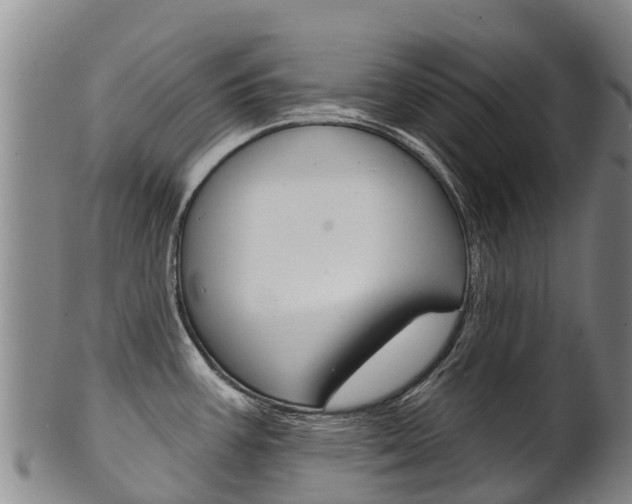 X0000102531387200808081042
