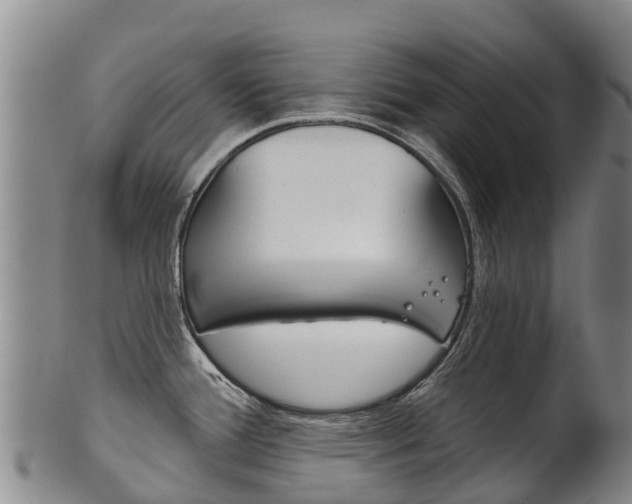 X0000102531388200808081042