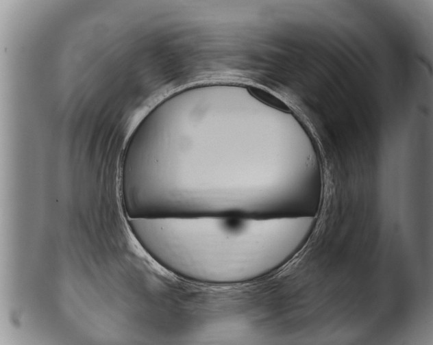 X0000102531390200808081042