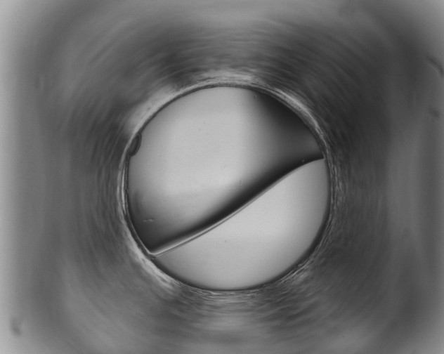 X0000102531391200808081042