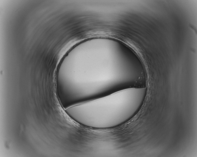 X0000102531392200808081042