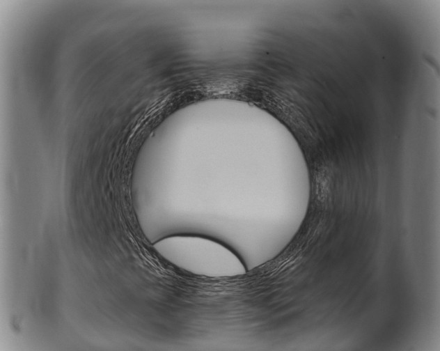 X0000102531393200808081042
