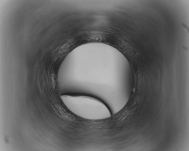 X0000102531394200808081042