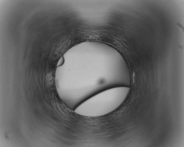 X0000102531395200808081042