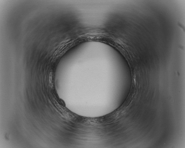 X0000102531396200808081042
