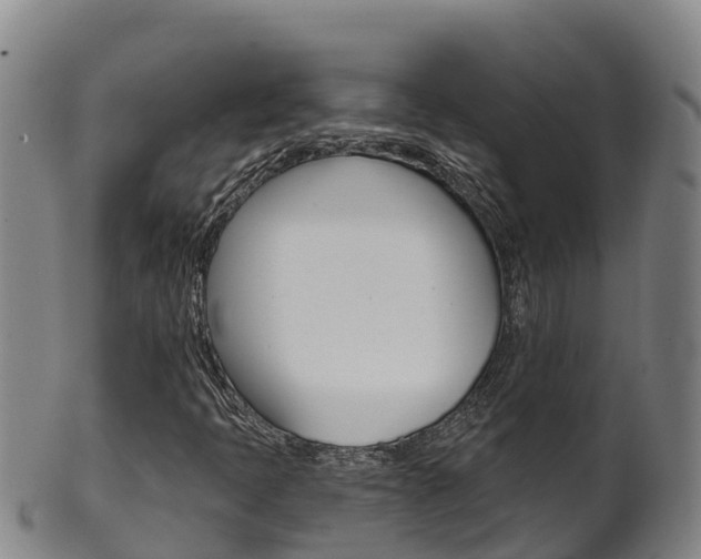 X0000102531397200808081042