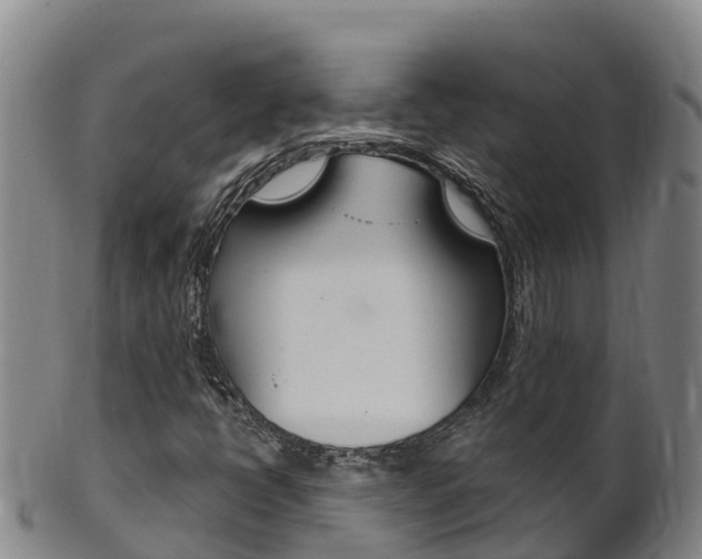 X0000102531398200808081042