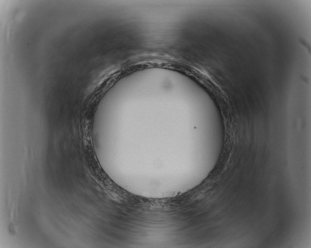 X0000102531399200808081042