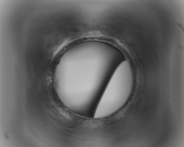 X0000102531400200808081042