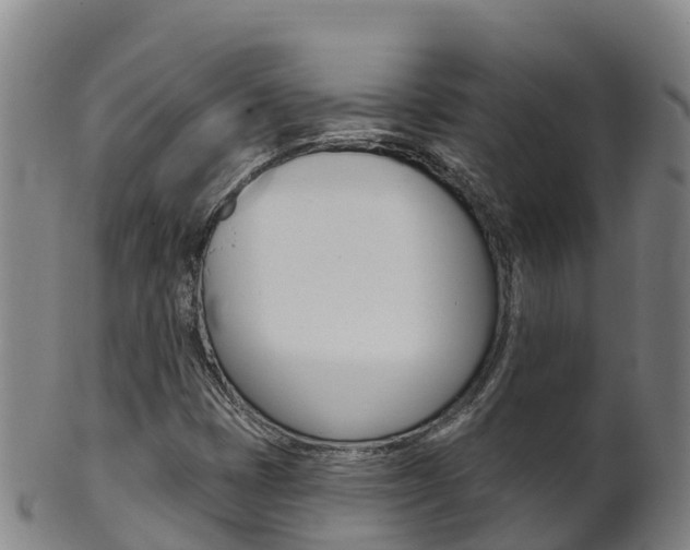 X0000102531401200808081042
