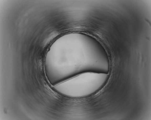 X0000102531402200808081042