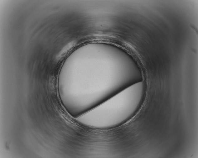 X0000102531403200808081042
