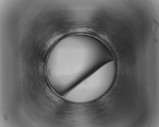 X0000102531404200808081042