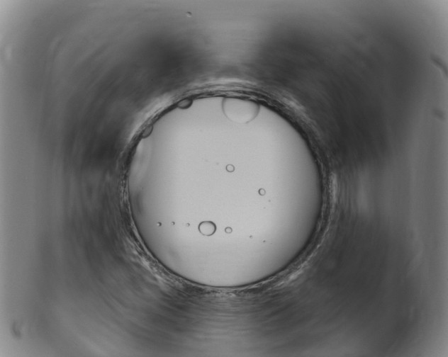 X0000102531405200808081042