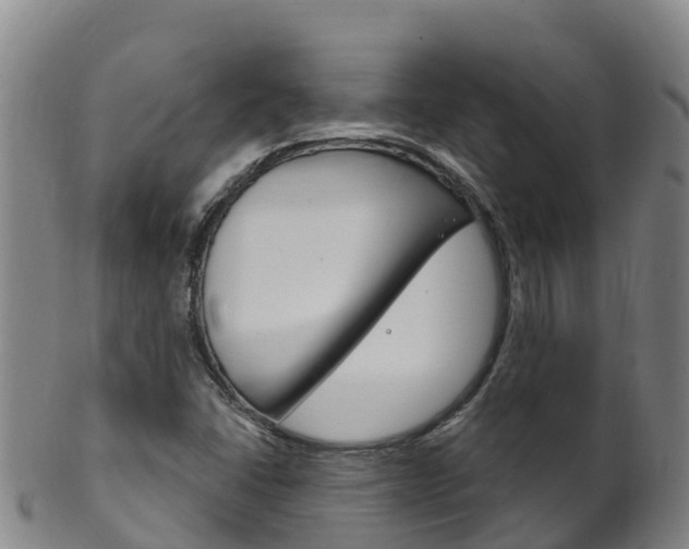 X0000102531406200808081042