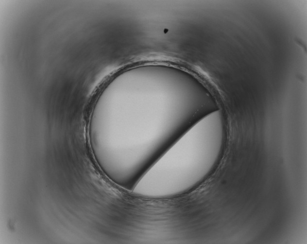 X0000102531408200808081042