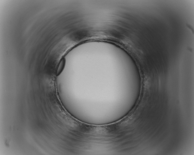 X0000102531409200808081042
