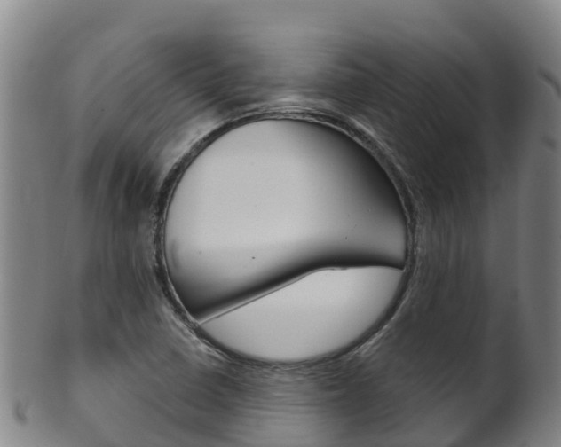X0000102531410200808081042