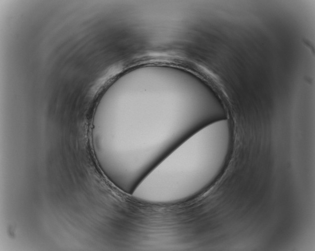 X0000102531411200808081042