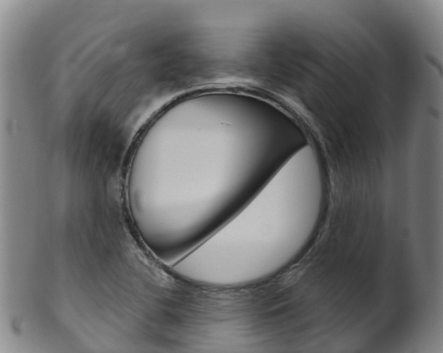 X0000102531412200808081042