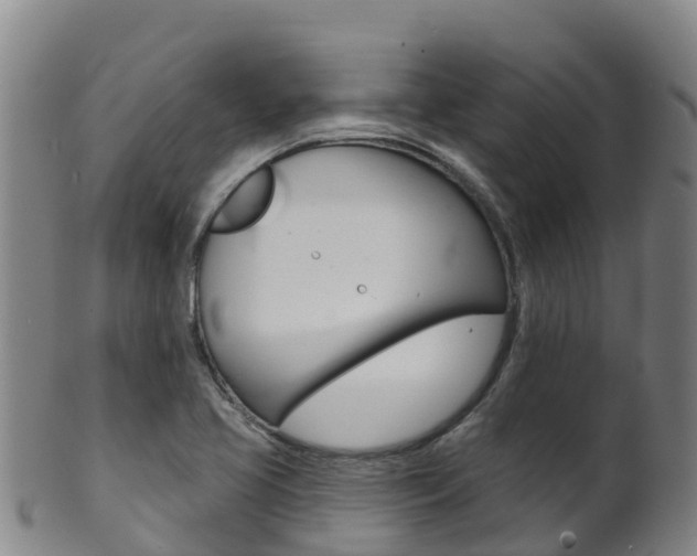 X0000102531413200808081042