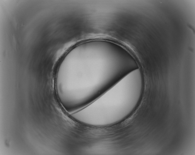 X0000102531414200808081042