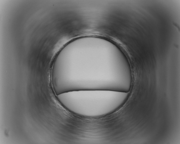 X0000102531415200808081042