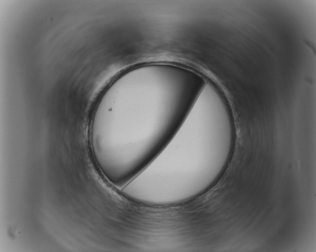 X0000102531416200808081042