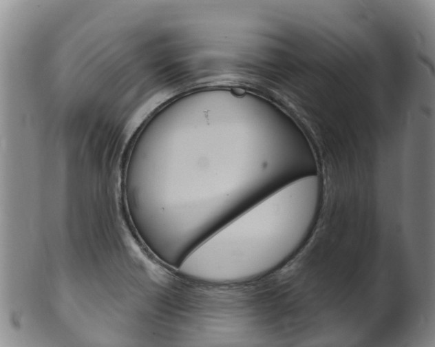 X0000102531418200808081042