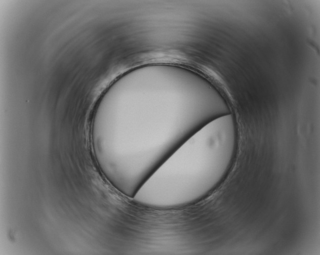 X0000102531419200808081042