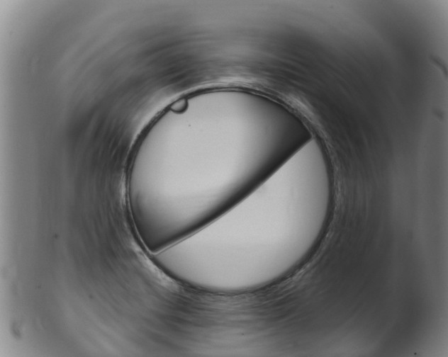 X0000102531420200808081042
