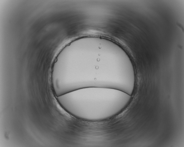 X0000102531421200808081042
