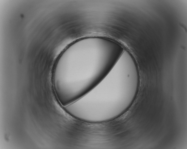 X0000102531422200808081042