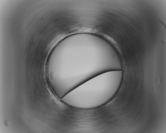 X0000102531423200808081042