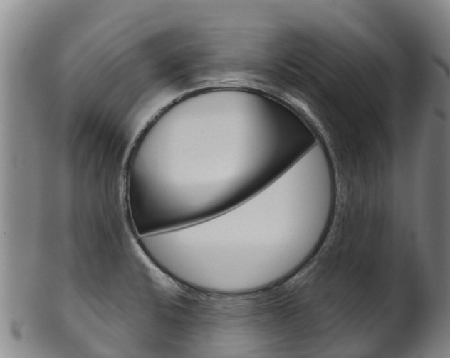 X0000102531424200808081042